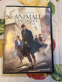 Animali fantastici e dove trovarli 1 DVD