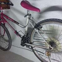 Bicicletta mountain bike legnano galates