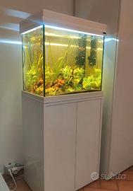 Acquario Acquatlantis 