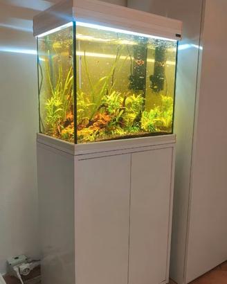 Acquario Acquatlantis 