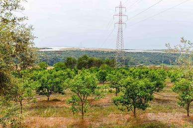 Terreno - Caltagirone