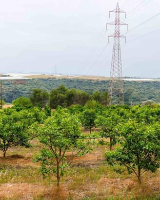 Terreno - Caltagirone