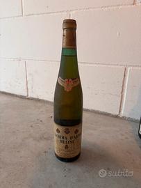 Bottiglia Vintage Lacrima d’Arno Melini 1964