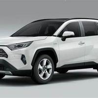 Ricambi toyota rav4 2020