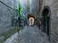 Immagine 11