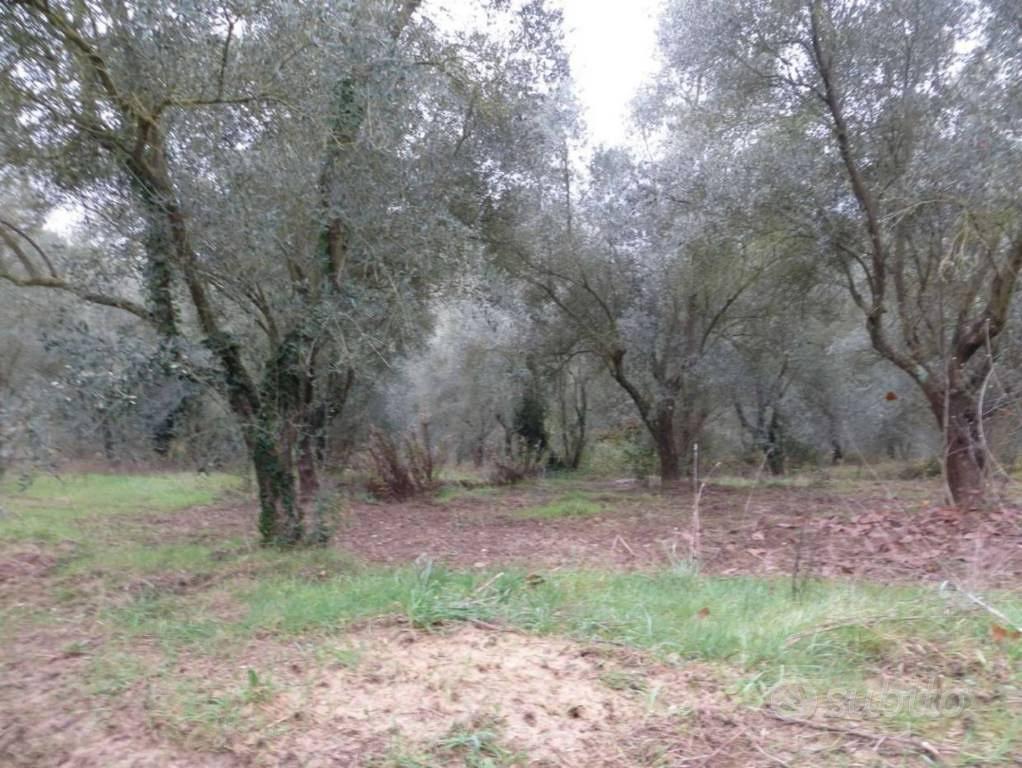 Immobile in asta di 94562 m² a San Giorgio del San - Vista 2