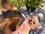 Immagine 4