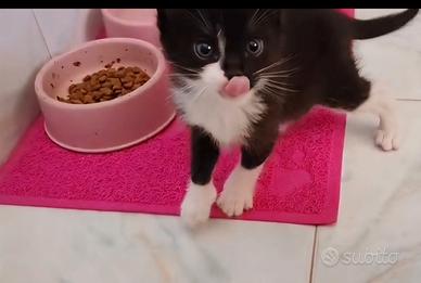 Maschio e femmina, in svezzamento