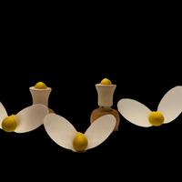 Tappi e magnete Ape Legnomagia cucina