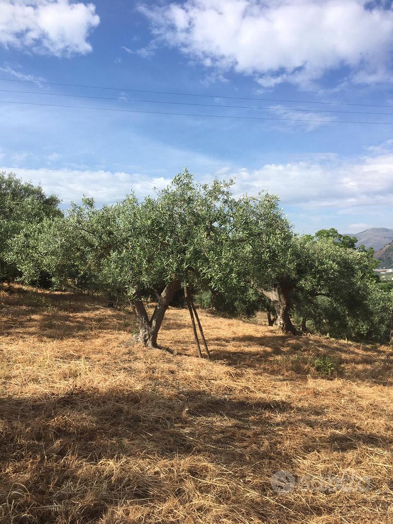 Terreno agricolo - Vista 4