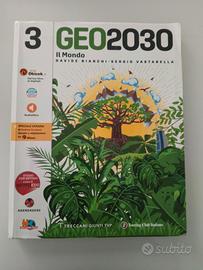 GEO 2030 3