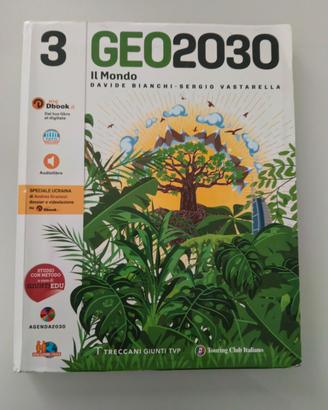 GEO 2030 3