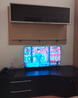 mobile tv
