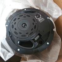 BOSE DESIGN MAX DM5C