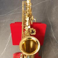 Sax Contralto  Yanagisawa  