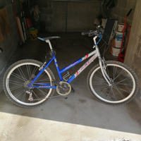 Mountain bike