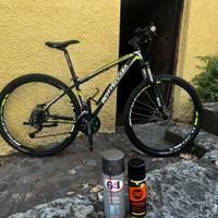 Bottecchia Tonale 29