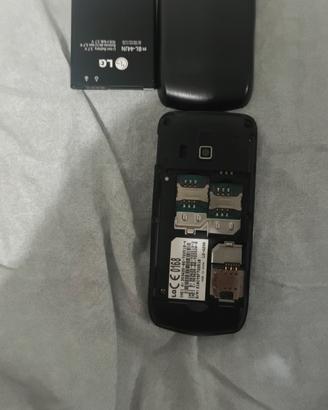 cellulare LG  A 290