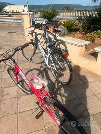 bici a blocco o singolarmente