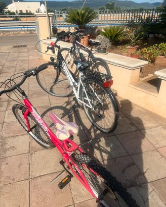 bici a blocco o singolarmente
