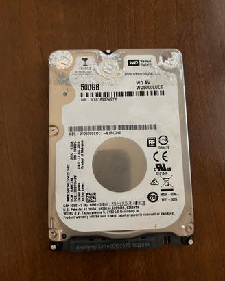 Hard disk WD 500gb