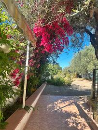 Costa Paloni esclusiva villa panoramica