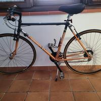 Bicicletta BOTTECCHIA