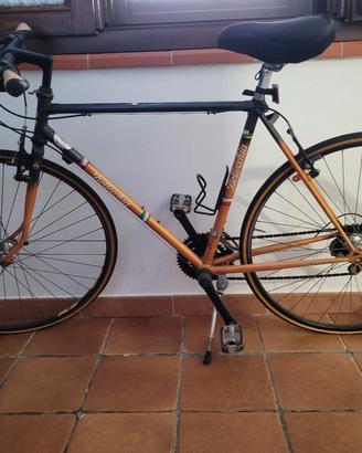 Bicicletta BOTTECCHIA