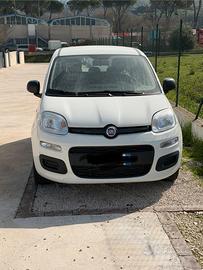 Fiat Panda hybrid