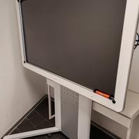 interaktive Whiteboard D5500 Ricoh
