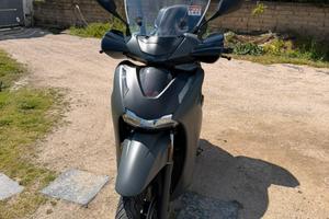 Sh 350 2025 sport