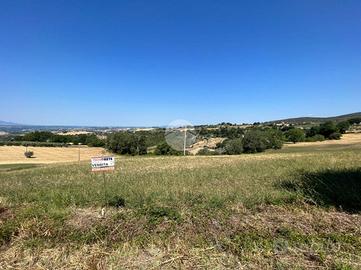 TER. RESIDENZIALE A CALVI DELL'UMBRIA