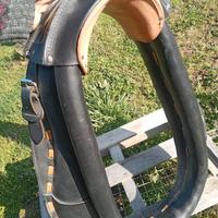 Finimenti Amish nuovi