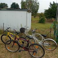 4 bici 2 da donna e 2 montain bike