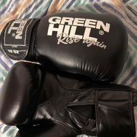 Guanti da boxe Fury Green Hill