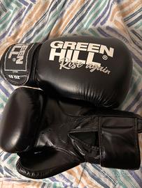 Guanti da boxe Fury Green Hill