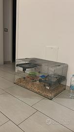 Gabbia per criceti