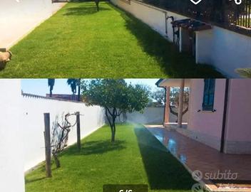 giardino