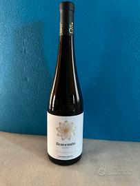 Bottiglia di vino bianco Zibibbo “ Benvenuto “