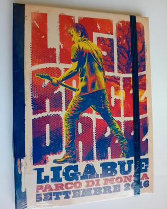 Liga Rock Park, parco di Monza live 2016 dvd 