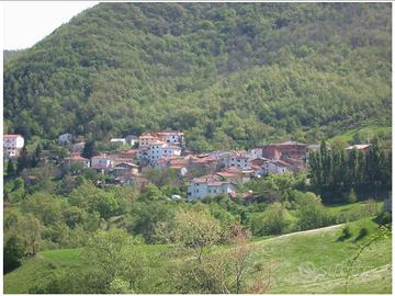 Mesi estivi appennino ToscoEmiliano Baigno Camugna
