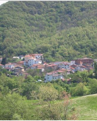 Mesi estivi appennino ToscoEmiliano Baigno Camugna