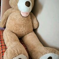 Orso Peluche 