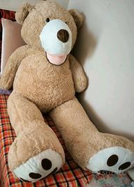 Orso Peluche 