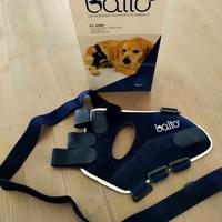 Tutore ginocchio cane