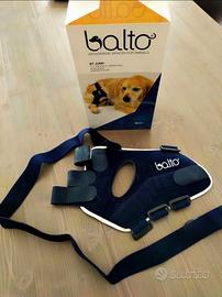 Tutore ginocchio cane