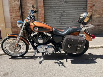 Harley 1200 105 anniversario