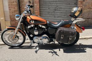 Harley 1200 105 anniversario