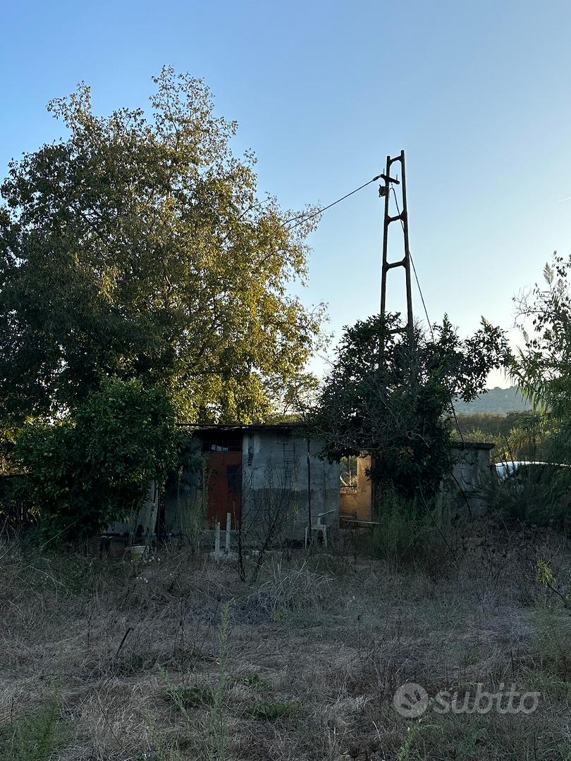 Terreno Agricolo: Pozzo, Piante, Rudere - Vista 2