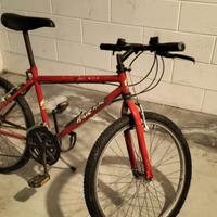 mountain bike  ragazzo ruota da  24 